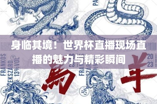 身临其境！世界杯直播现场直播的魅力与精彩瞬间