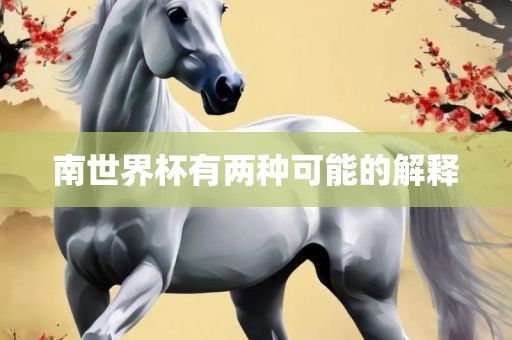南世界杯有两种可能的解释