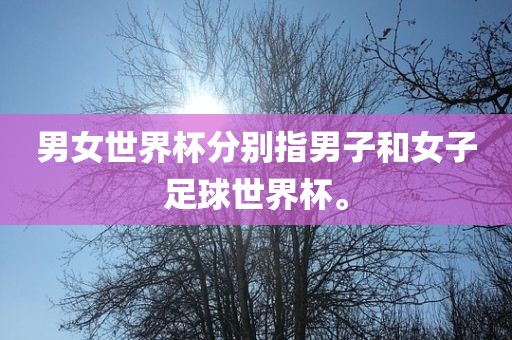 男女世界杯分别指男子和女子足球世界杯。漯河市盈旭机械设备有限公司