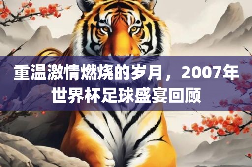 重温激情燃烧的岁月，2007年世界杯足球盛宴回顾