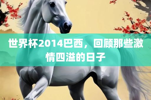 世界杯2014巴西，回顾那些激情四溢的日子漯河市盈旭机械设备有限公司