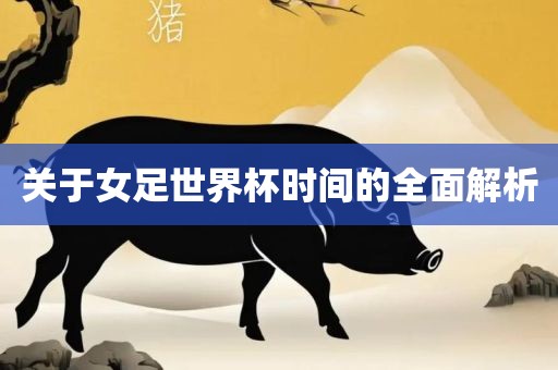 关于女足世界杯时间的全面解析漯河市盈旭机械设备有限公司