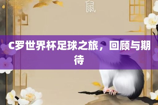 C罗世界杯足球之旅，回顾与期待