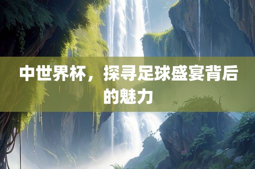中世界杯，探寻足球盛宴背后的魅力
