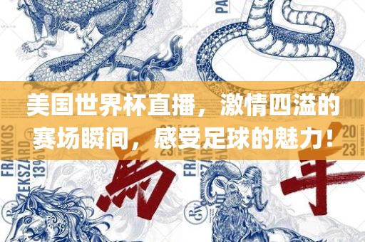 美国世界杯直播，激情四溢的赛场瞬间，感受足球的魅力！漯河市盈旭机械设备有限公司