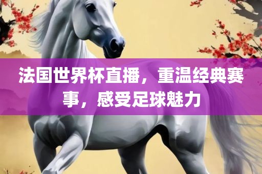 法国世界杯直播，重温经典赛事，感受足球魅力