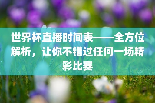 世界杯直播时间表——全方位解析，让你不错过任何一场精彩比赛漯河市盈旭机械设备有限公司