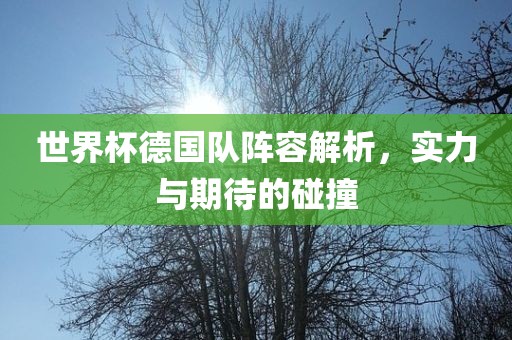 世界杯德国队阵容解析，实力与期待的碰撞