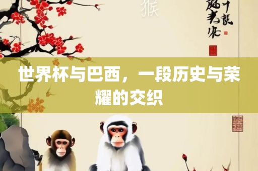 世界杯与巴西，一段历史与荣耀的交织漯河市盈旭机械设备有限公司
