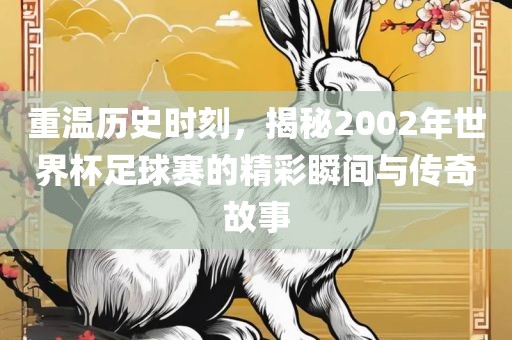 重温历史时刻，揭秘2002年世界杯足球赛的精彩瞬间与传奇故事