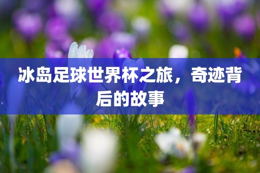 冰岛足球世界杯之旅，奇迹背后的故事