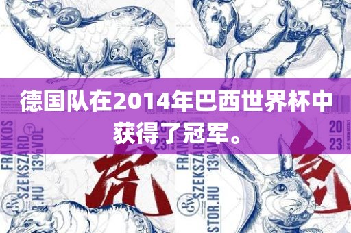 德国队在2014年巴西世界杯中获得了冠军。