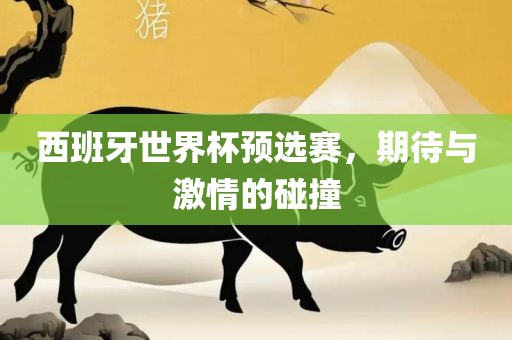 西班牙世界杯预选赛，期待与激情的碰撞