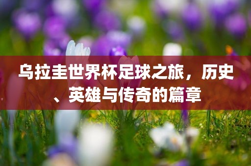 乌拉圭世界杯足球之旅，历史、英雄与传奇的篇章