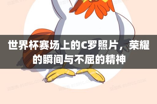 世界杯赛场上的C罗照片，荣耀的瞬间与不屈的精神漯河市盈旭机械设备有限公司