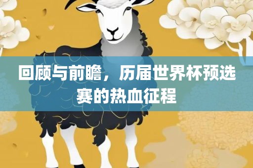 回顾与前瞻，历届世界杯预选赛的热血征程
