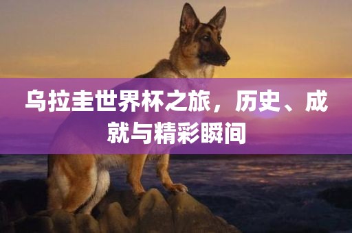 乌拉圭世界杯之旅，历史、成就与精彩瞬间漯河市盈旭机械设备有限公司