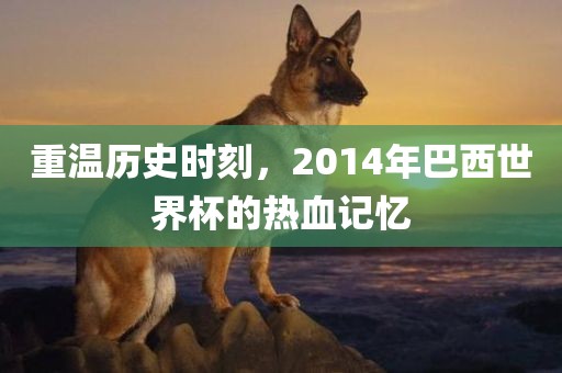 重温历史时刻，2014年巴西世界杯的热血记忆漯河市盈旭机械设备有限公司