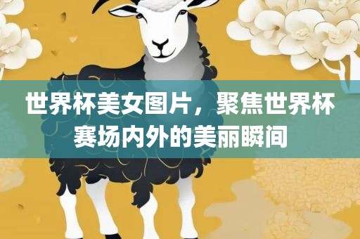 世界杯美女图片，聚焦世界杯赛场内外的美丽瞬间