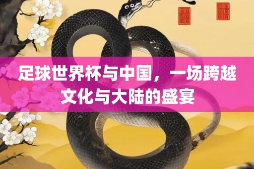 足球世界杯与中国，一场跨越文化与大陆的盛宴