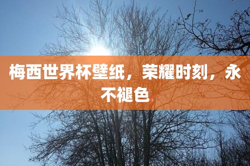 梅西世界杯壁纸，荣耀时刻，永不褪色