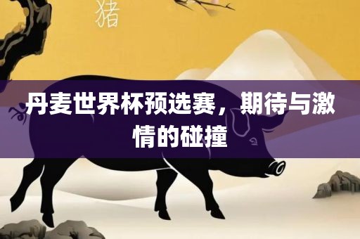 丹麦世界杯预选赛，期待与激情的碰撞