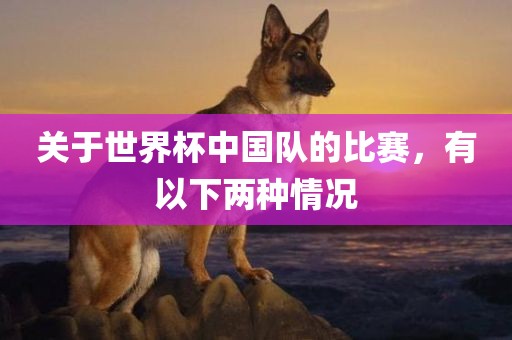 关于世界杯中国队的比赛，有以下两种情况漯河市盈旭机械设备有限公司
