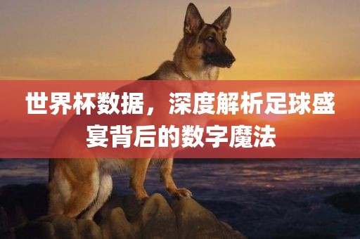 世界杯数据，深度解析足球盛宴背后的数字魔法
