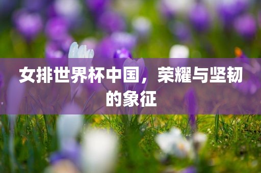 女排世界杯中国，荣耀与坚韧的象征漯河市盈旭机械设备有限公司