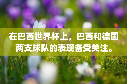在巴西世界杯上，巴西和德国两支球队的表现备受关注。