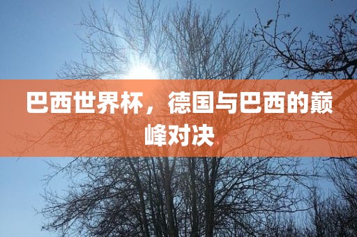 巴西世界杯，德国与巴西的巅峰对决
