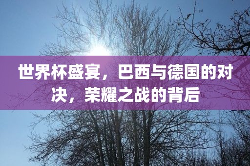世界杯盛宴，巴西与德国的对决，荣耀之战的背后