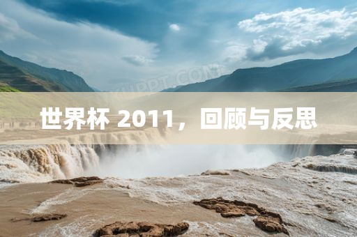 世界杯 2011，回顾与反思