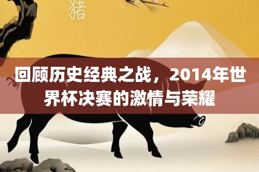 回顾历史经典之战，2014年世界杯决赛的激情与荣耀