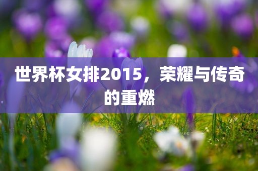 世界杯女排2015，荣耀与传奇的重燃