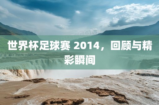 世界杯足球赛 2014，回顾与精彩瞬间
