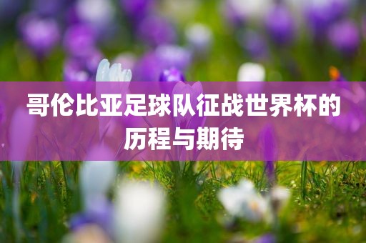 哥伦比亚足球队征战世界杯的历程与期待漯河市盈旭机械设备有限公司