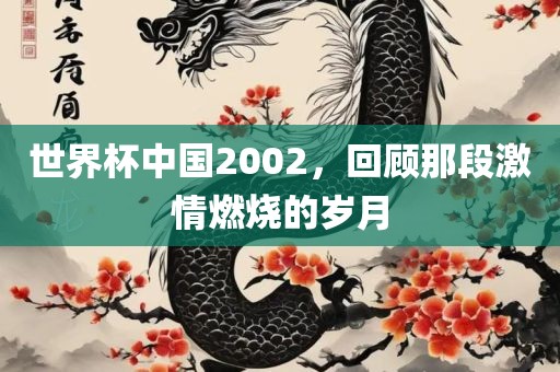 世界杯中国2002，回顾那段激情燃烧的岁月