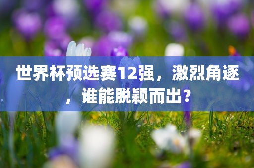 世界杯预选赛12强，激烈角逐，谁能脱颖而出？