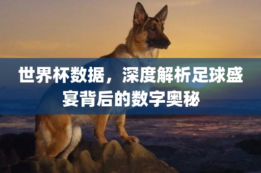 世界杯数据，深度解析足球盛宴背后的数字奥秘