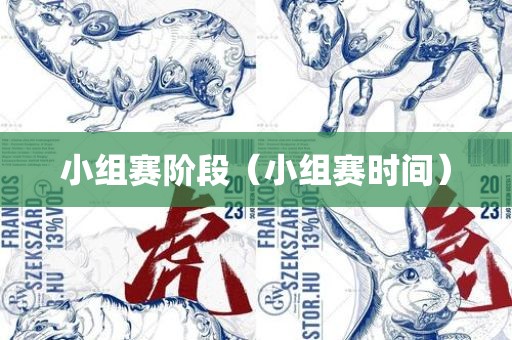 小组赛阶段（小组赛时间）