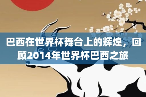 巴西在世界杯舞台上的辉煌，回顾2014年世界杯巴西之旅漯河市盈旭机械设备有限公司