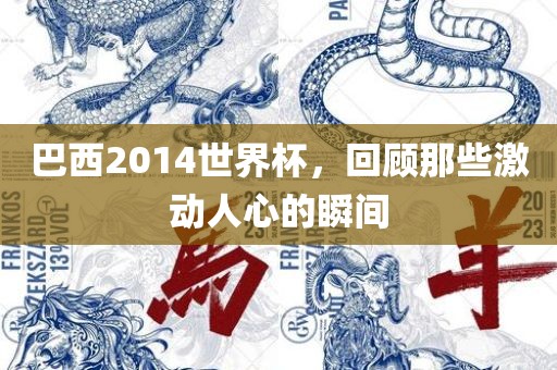 巴西2014世界杯，回顾那些激动人心的瞬间