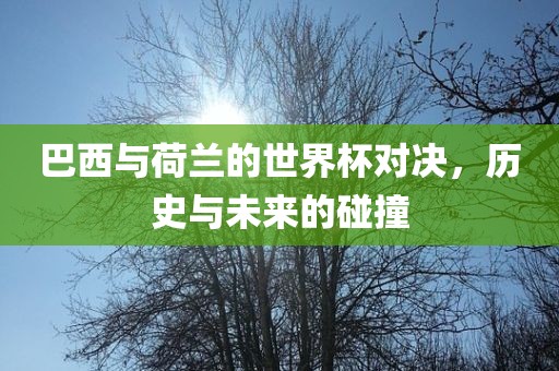 巴西与荷兰的世界杯对决，历史与未来的碰撞漯河市盈旭机械设备有限公司