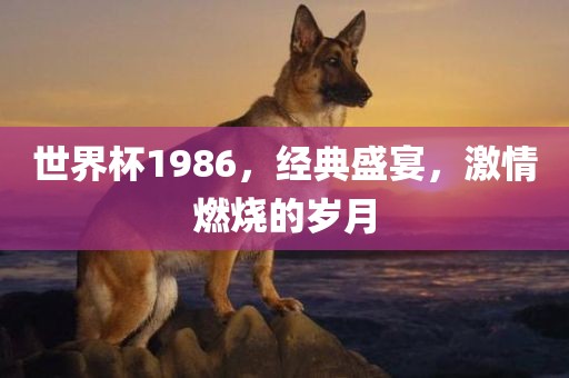 激情燃烧的岁月