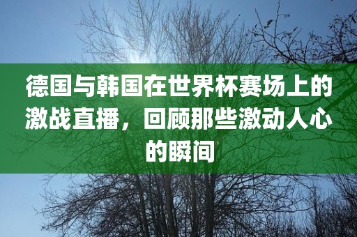 德国与韩国在世界杯赛场上的激战直播，回顾那些激动人心的瞬间