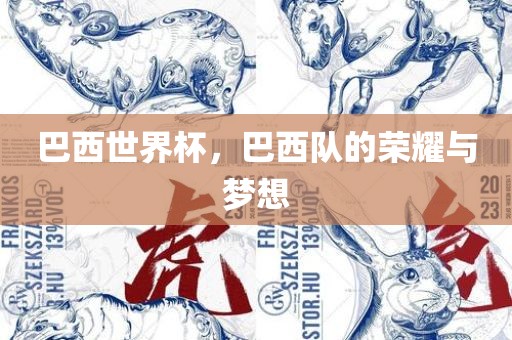巴西世界杯，巴西队的荣耀与梦想