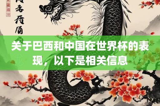 关于巴西和中国在世界杯的表现，以下是相关信息