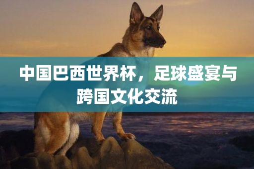 中国巴西世界杯，足球盛宴与跨国文化交流