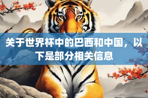 关于世界杯中的巴西和中国，以下是部分相关信息
